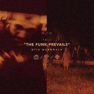 骚逼女人操屄视频
