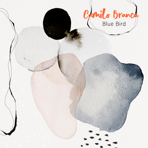 骚逼女人操屄视频
